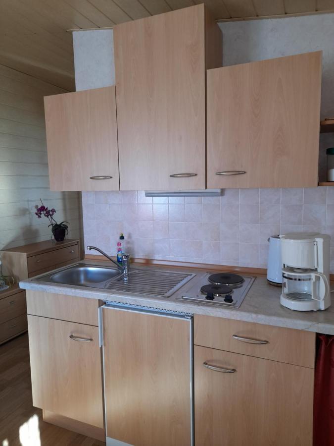 Falkenstein Reinhardtsdorf-Schona Extérieur photo