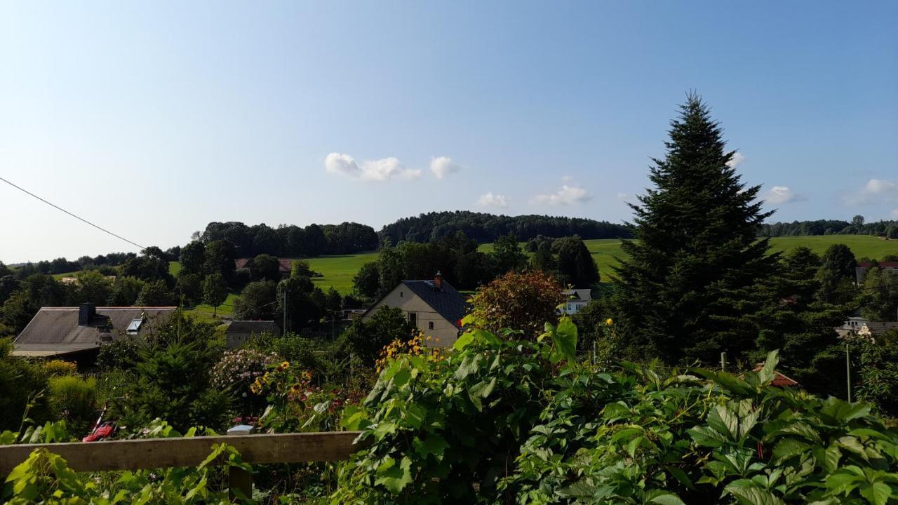 Falkenstein Reinhardtsdorf-Schona Extérieur photo
